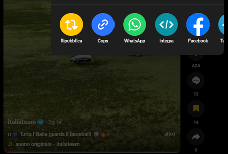 Copiare link video TikTok su PC